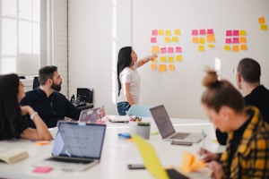 Professional consultants helping students with university applications